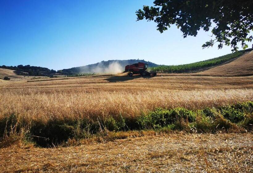 בית מלון כפרי Agriturismo Colle Di Mezzo