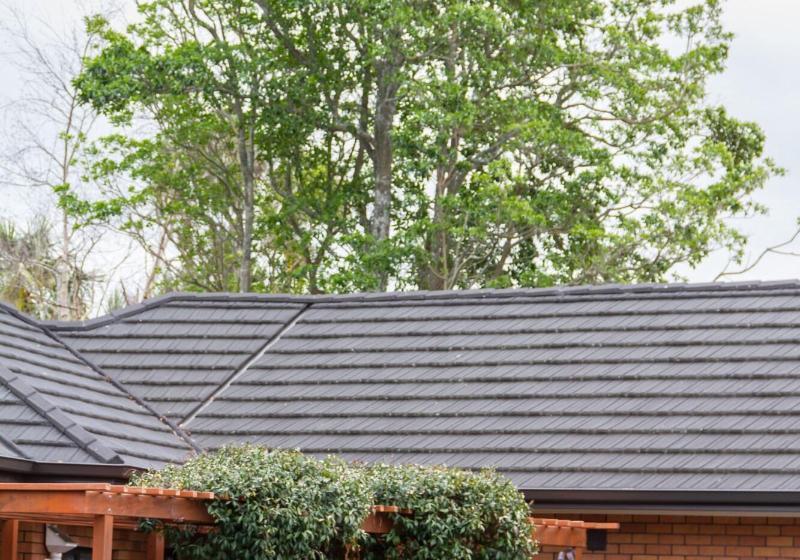 ホテル Albert Court Motor Lodge