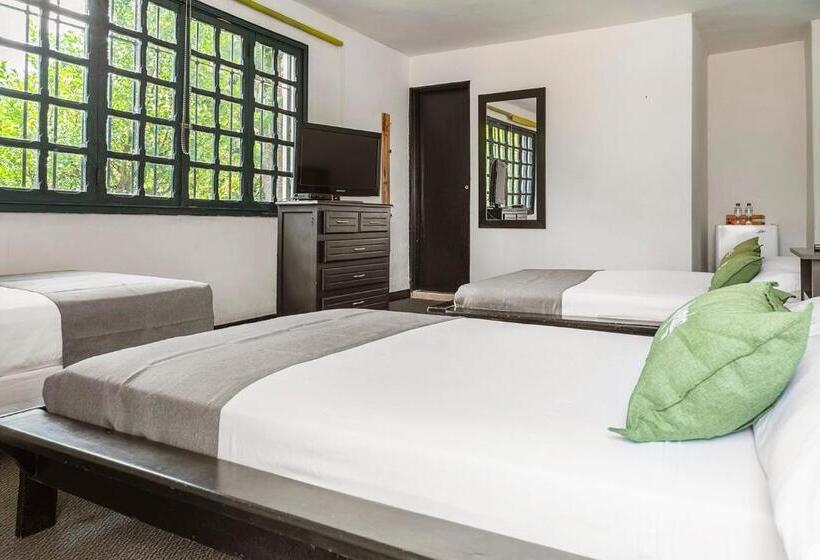 Отель Ayenda 1257 Premium Real