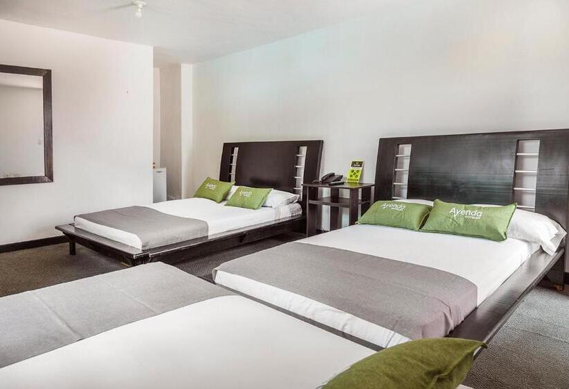 Отель Ayenda 1257 Premium Real