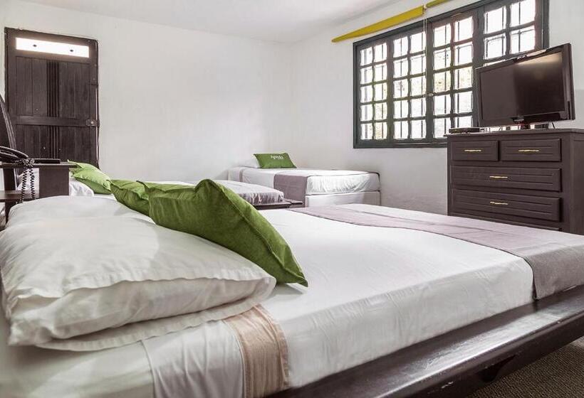 Отель Ayenda 1257 Premium Real