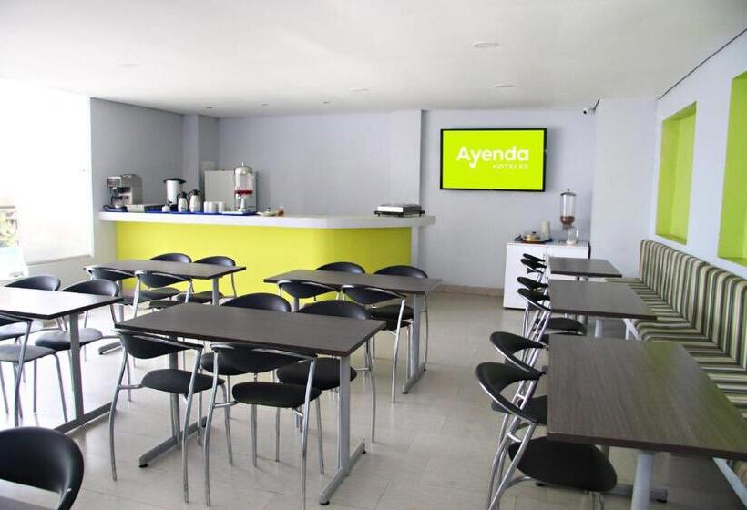 בית מלון כפרי Ayenda 1801 El Oceano