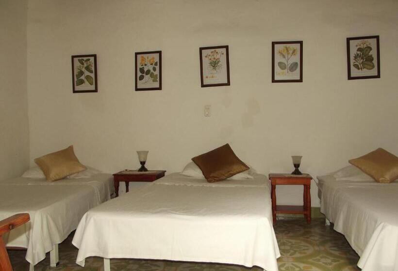 Отель Casa Belle Epoque