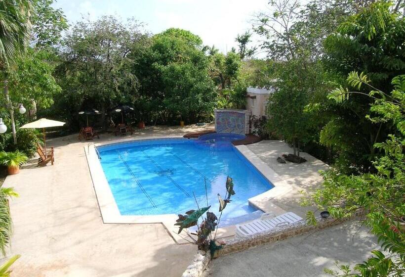 Casa Las Palmas Hotel Boutique