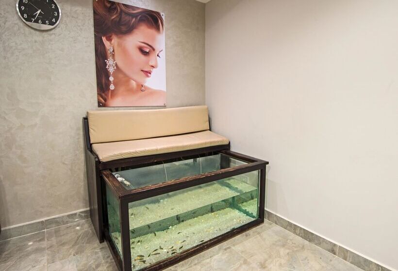 Hotel Casa Mare Resort   Ex, Royal Tulip Beach Resort