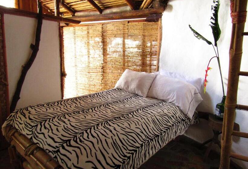 ホテル Casa Tarzan