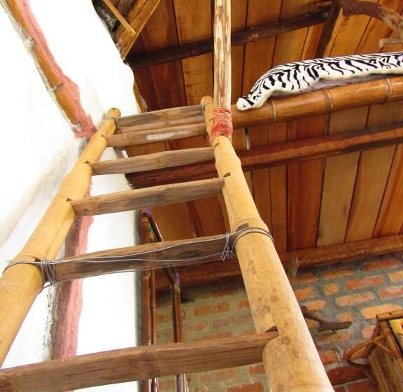 ホテル Casa Tarzan