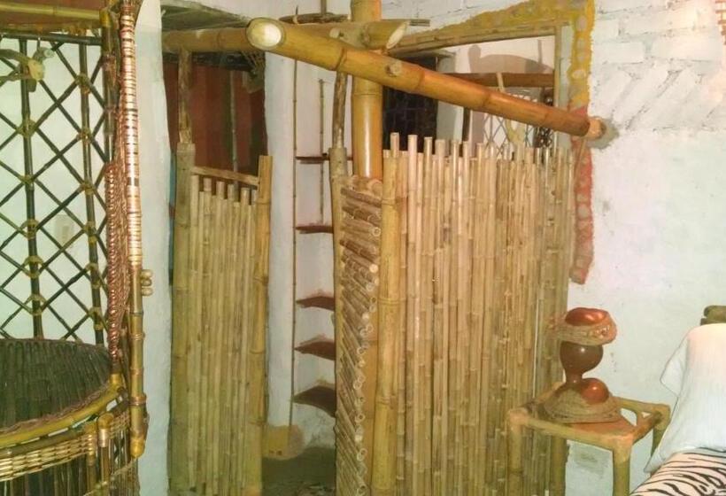 ホテル Casa Tarzan