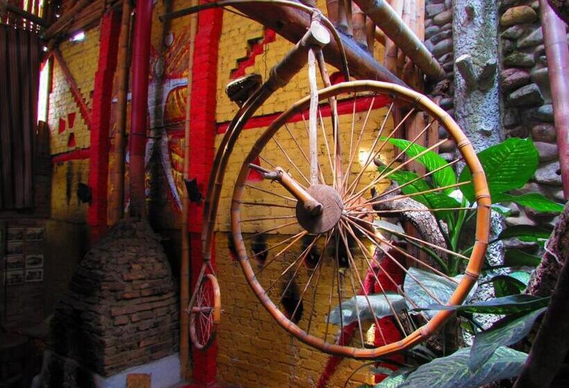 ホテル Casa Tarzan