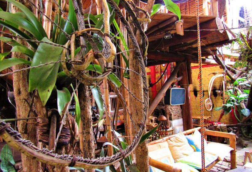 ホテル Casa Tarzan