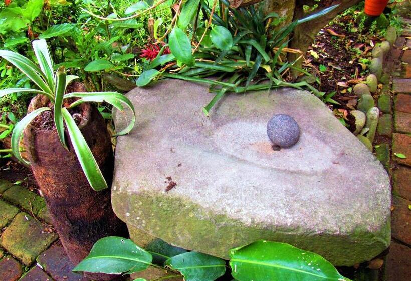 ホテル Casa Tarzan