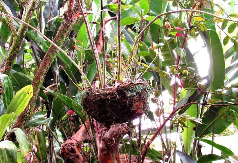 ホテル Casa Tarzan