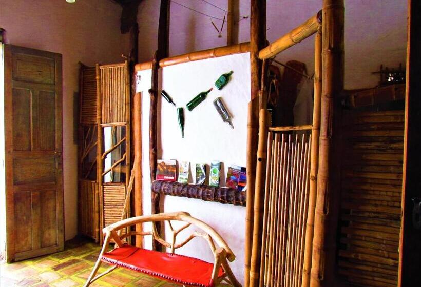 ホテル Casa Tarzan