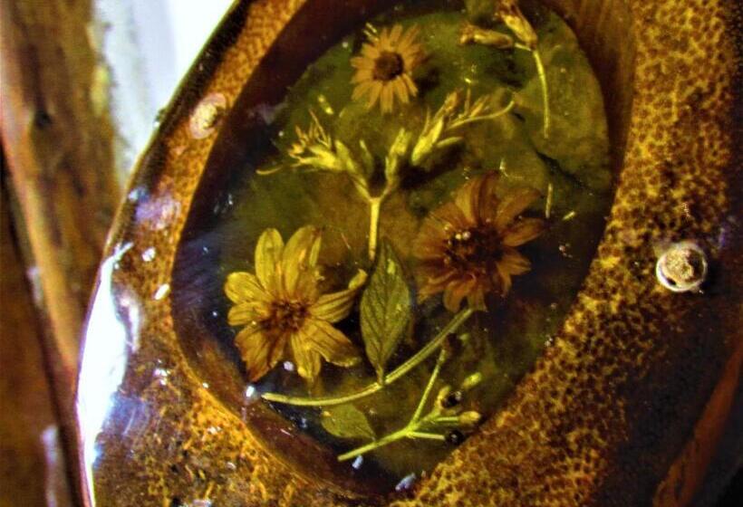 ホテル Casa Tarzan