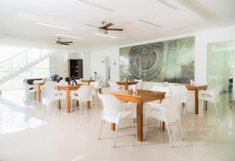 Отель Cinco Monteria