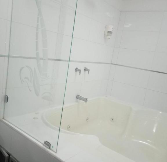 酒店 Confort Plaza