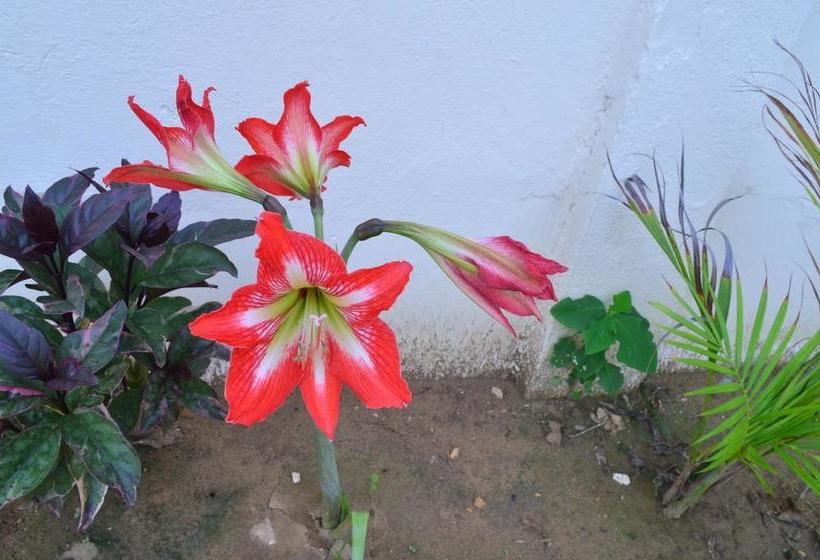 Отель Costa Mar Coveñas