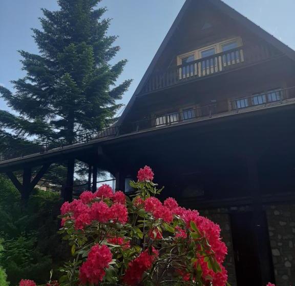 هتل Dom Wypoczynkowy Aga