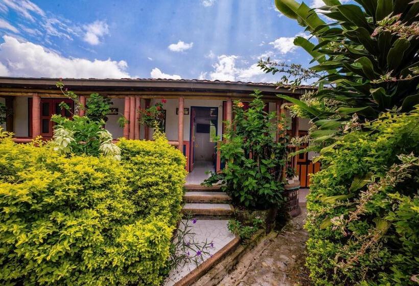 Eco Hotel Las Palmas