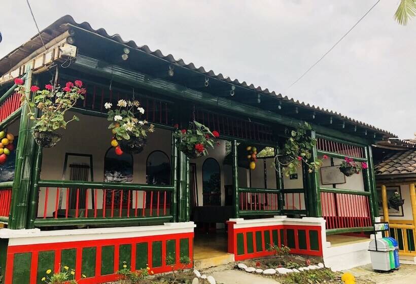 Eco Hotel Las Palmas