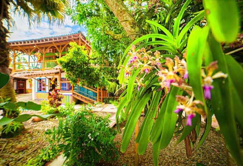 Eco Hotel Las Palmas