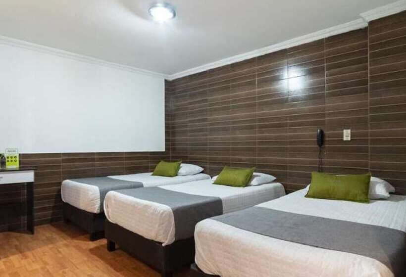 酒店 Ejecutivo 63 In