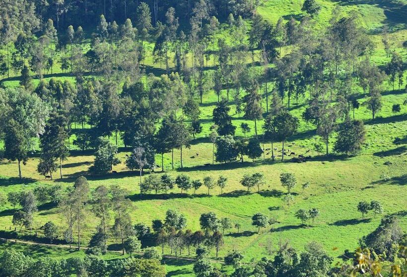 酒店 El Mirador Del Cocora