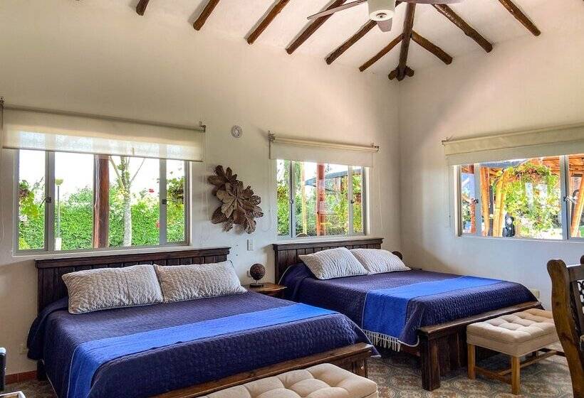 호텔 Finca Del Café   Casa Typica