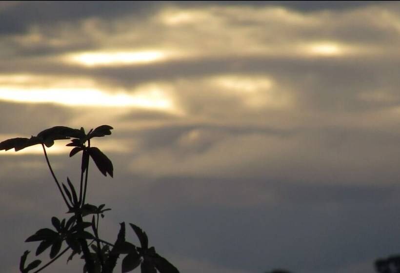 ホテル Finca El Cielo