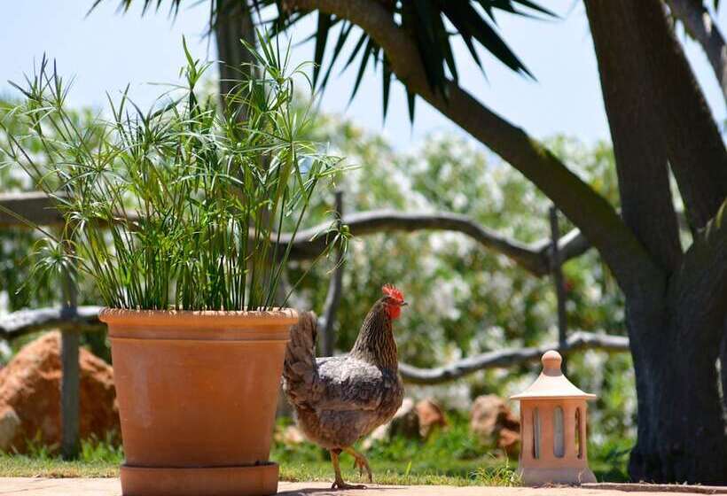 Отель Finca Son Sala