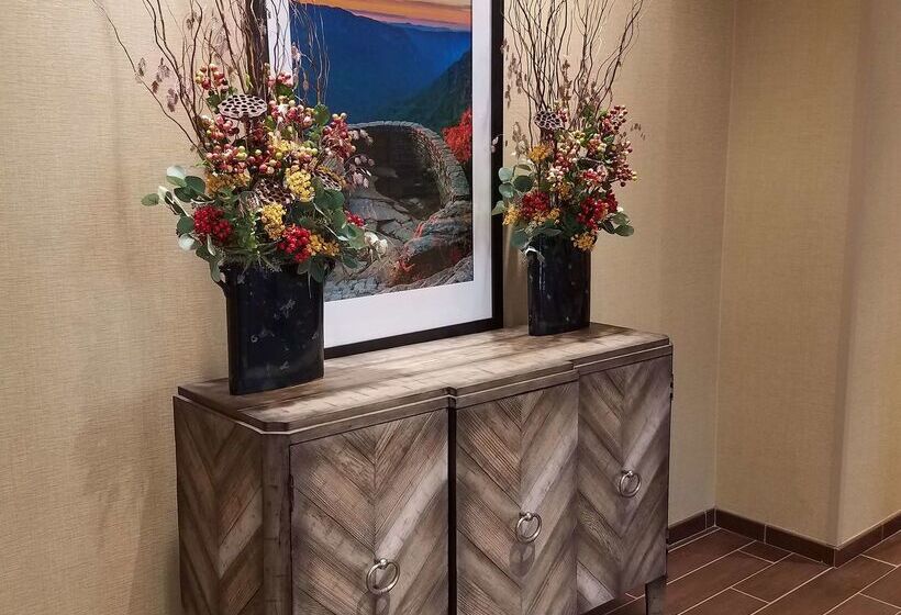 فندق Hampton Inn & Suites Boone