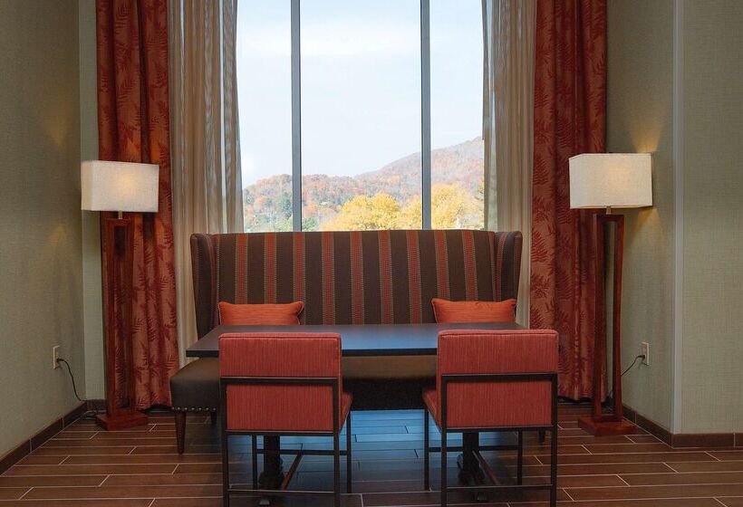 فندق Hampton Inn & Suites Boone