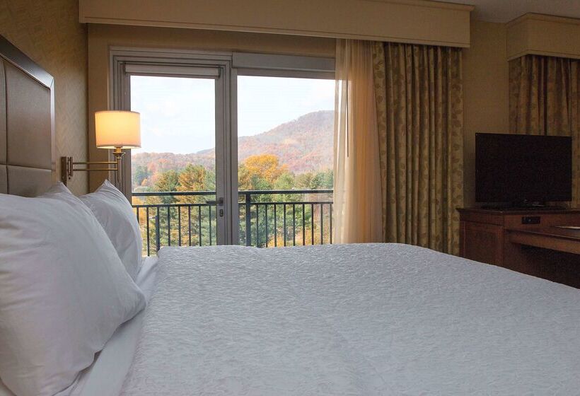 فندق Hampton Inn & Suites Boone