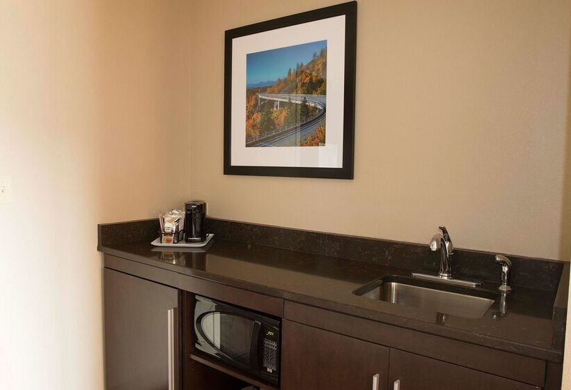 فندق Hampton Inn & Suites Boone