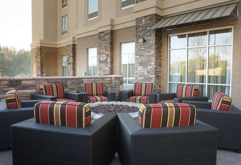 فندق Hampton Inn & Suites Boone