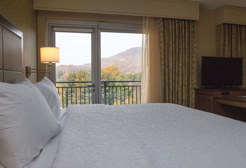 فندق Hampton Inn & Suites Boone