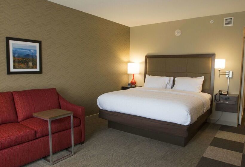 فندق Hampton Inn & Suites Boone