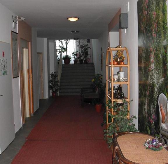 هتل Loft Apartman