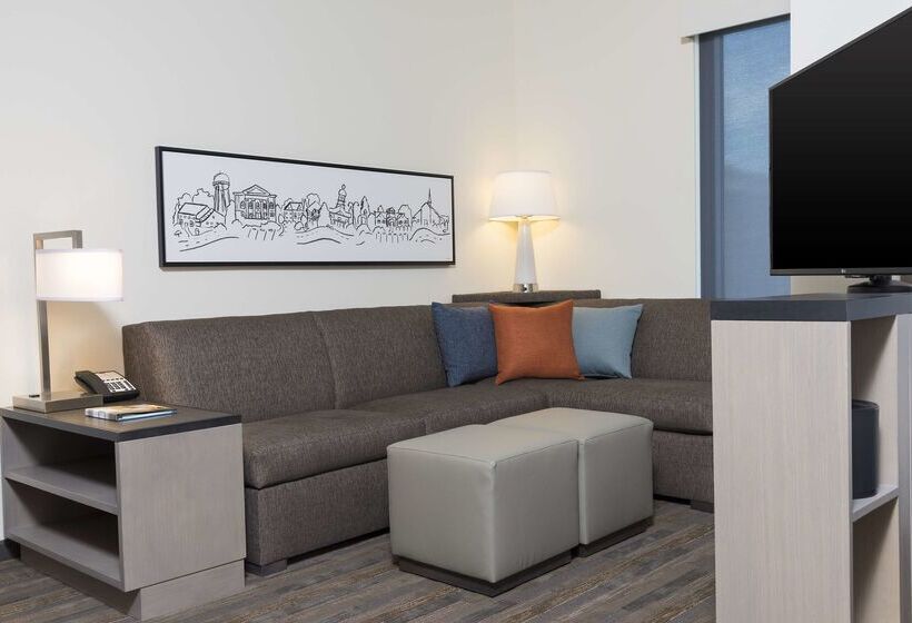 فندق Hyatt House Austin/downtown