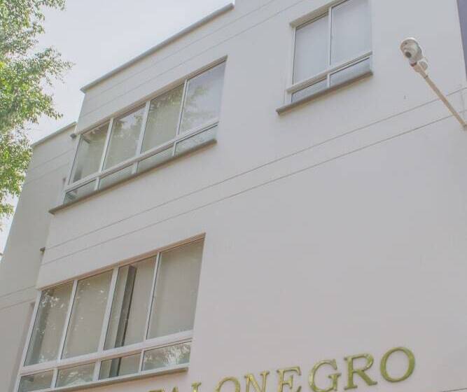 בית מלון כפרי Palonegro