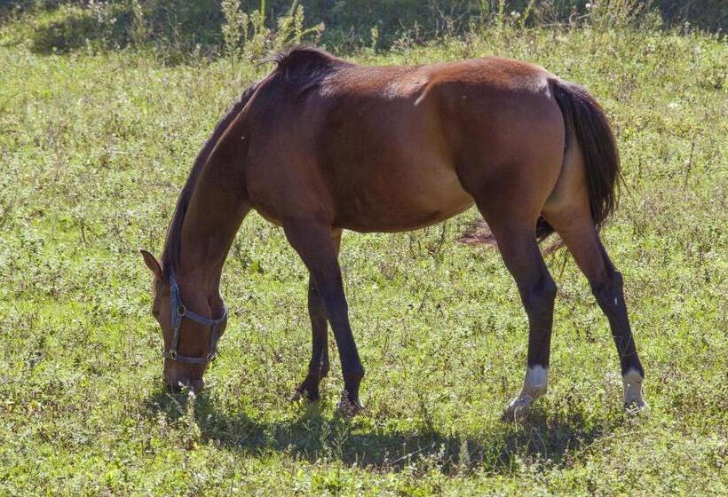 בית מלון כפרי Parque Serra Da Lousa
