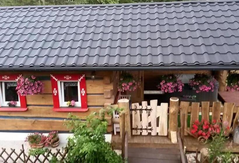 Отель Pension Aja