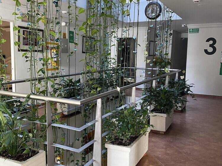 בית מלון כפרי Picasso Inn