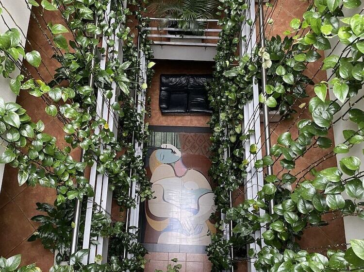 בית מלון כפרי Picasso Inn