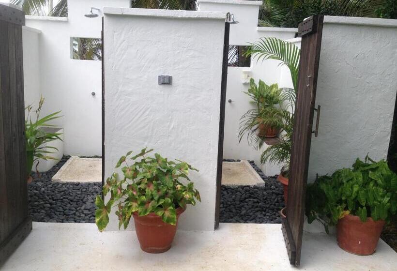 호텔 Playa Tranquilo B&b And Dive Shop