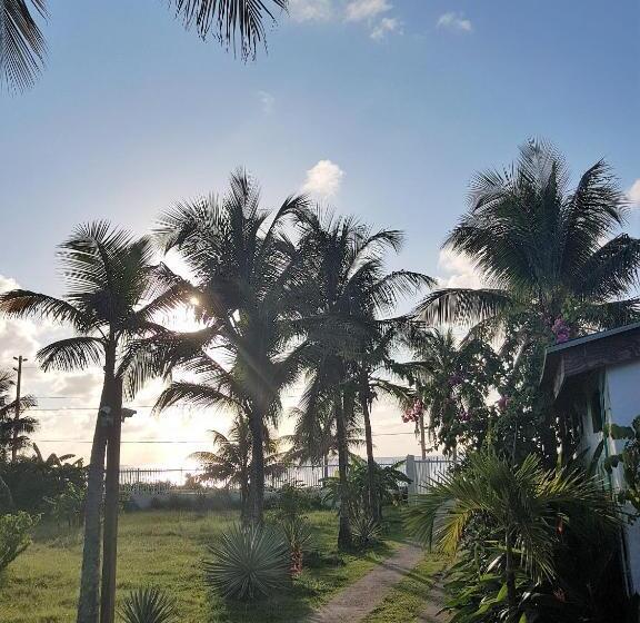 호텔 Playa Tranquilo B&b And Dive Shop