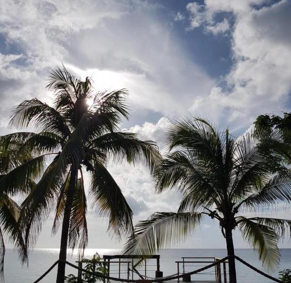 هتل Playa Tranquilo B&b And Dive Shop