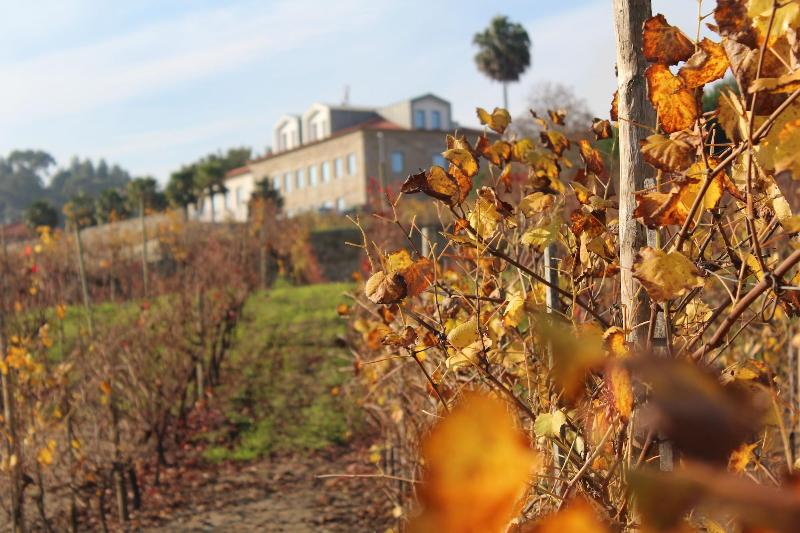 فندق Rural Quinta Das Quintaes