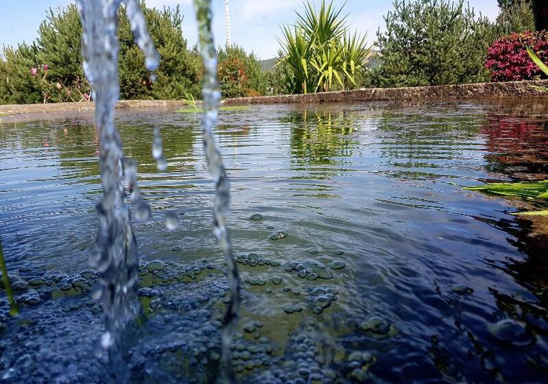 酒店 Rural Quinta Das Quintaes