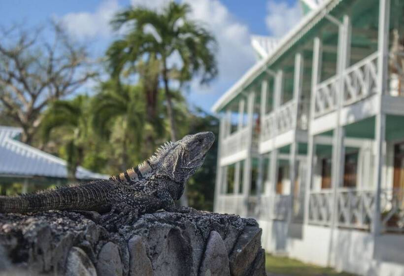 酒店 South West Bay Cabañas